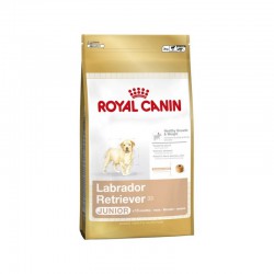 Royal Canin Labrador Retriever Junior 33 12 kg