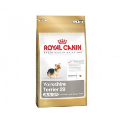 Royal Canin Yorkshire Terrier Junior 29 0,5 kg