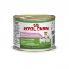 Royal Canin Starter Mousse 12x195gr (Lata)