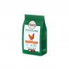 Nutro Wholesome adult med pollo 11kg