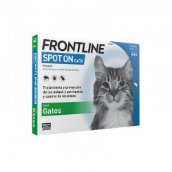 Frontline Spot gato (6P)